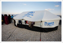 Palestine refugee support 2